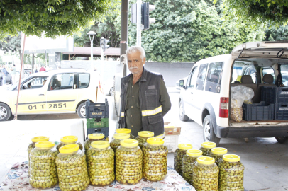 Tarsus’un Sarıulak zeytini doğal yöntemlerle hazırlanarak sofralara ulaşıyor