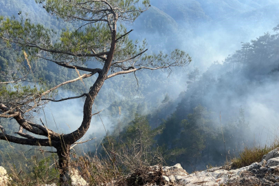 Hatay'daki orman yangınına 23. saatte havadan müdahale yeniden başladı