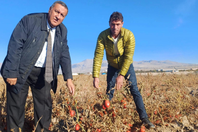 CHP’li Gürer'den tarım politikalarına tepki: Üreten kazanmıyor, tüketen zarar ediyor