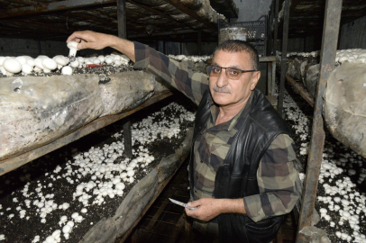 Demirci ustalığından kültür mantarı yetiştiriciliğine uzanan başarı hikâyesi