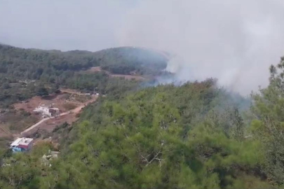 Hatay'da orman yangını