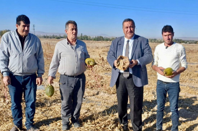 Üretim artışı, gıda israfını beraberinde getirdi