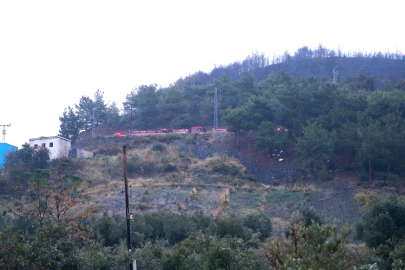 Hatay'da çıkan orman yangını kontrol altına alındı