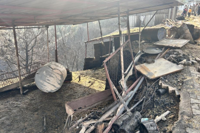 Hatay'daki orman yangınında 95 hektar alan zarar gördü