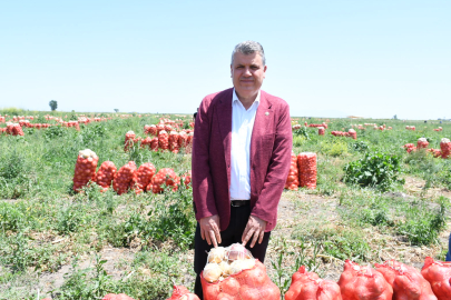 Barut: Güçlü Türkiye için tarıma destek şart