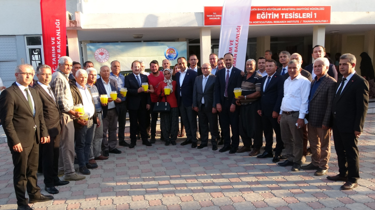 Mersin'de Akdeniz meyve sineği ile biyoteknik mücadelede büyük başarı 5