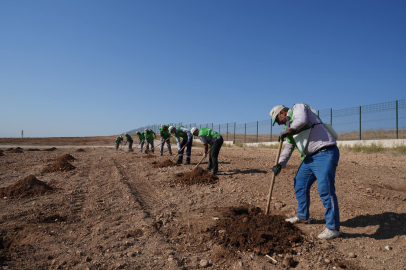 Milli Ağaçlandırma Günü’nde Adana'da 80 bin fidan toprakla buluşacak