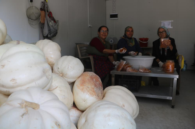 Hatay’ın tescilli lezzeti beyaz bal kabağı tatlısıyla yeniden hayata tutundu 3