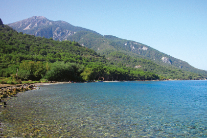 Orman Parkları uygulamasının ekosisteme zarar vereceği iddiası