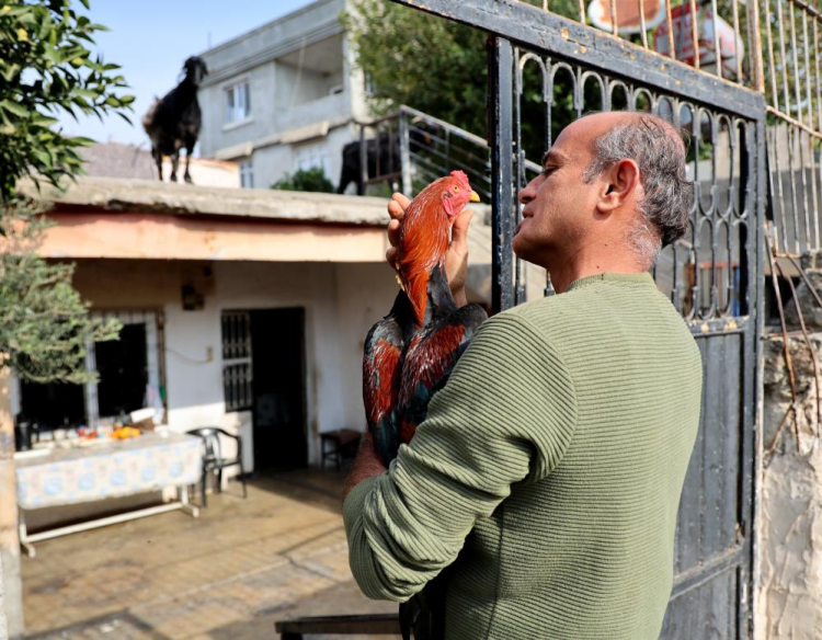 Adana’nın Nuh’un Gemisi Horoz ve keçileriyle arkadaş oldu 3