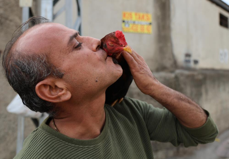 Adana’nın Nuh’un Gemisi Horoz ve keçileriyle arkadaş oldu 6