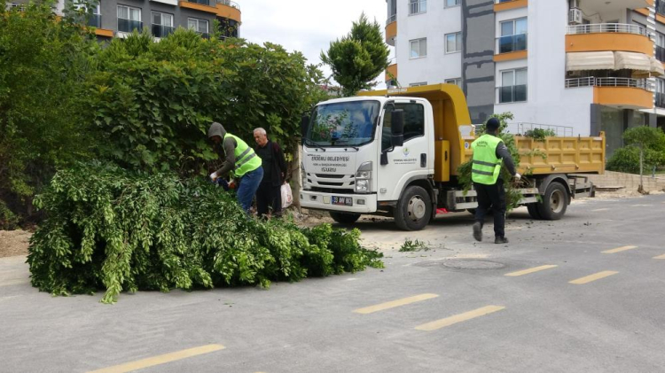 Mersin