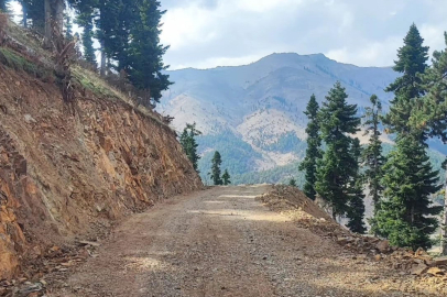 Adana'daki ormanlarda yol ağları genişletiliyor