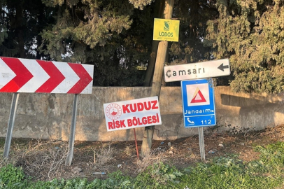 Hatay'ın Kırıkhan ilçesinde kuduz alarmı!