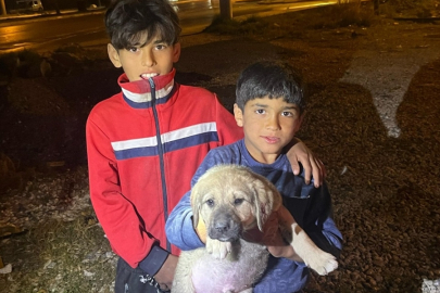 Mersin Tarsus’ta su kuyusuna düşen köpek yavrusu kurtarıldı